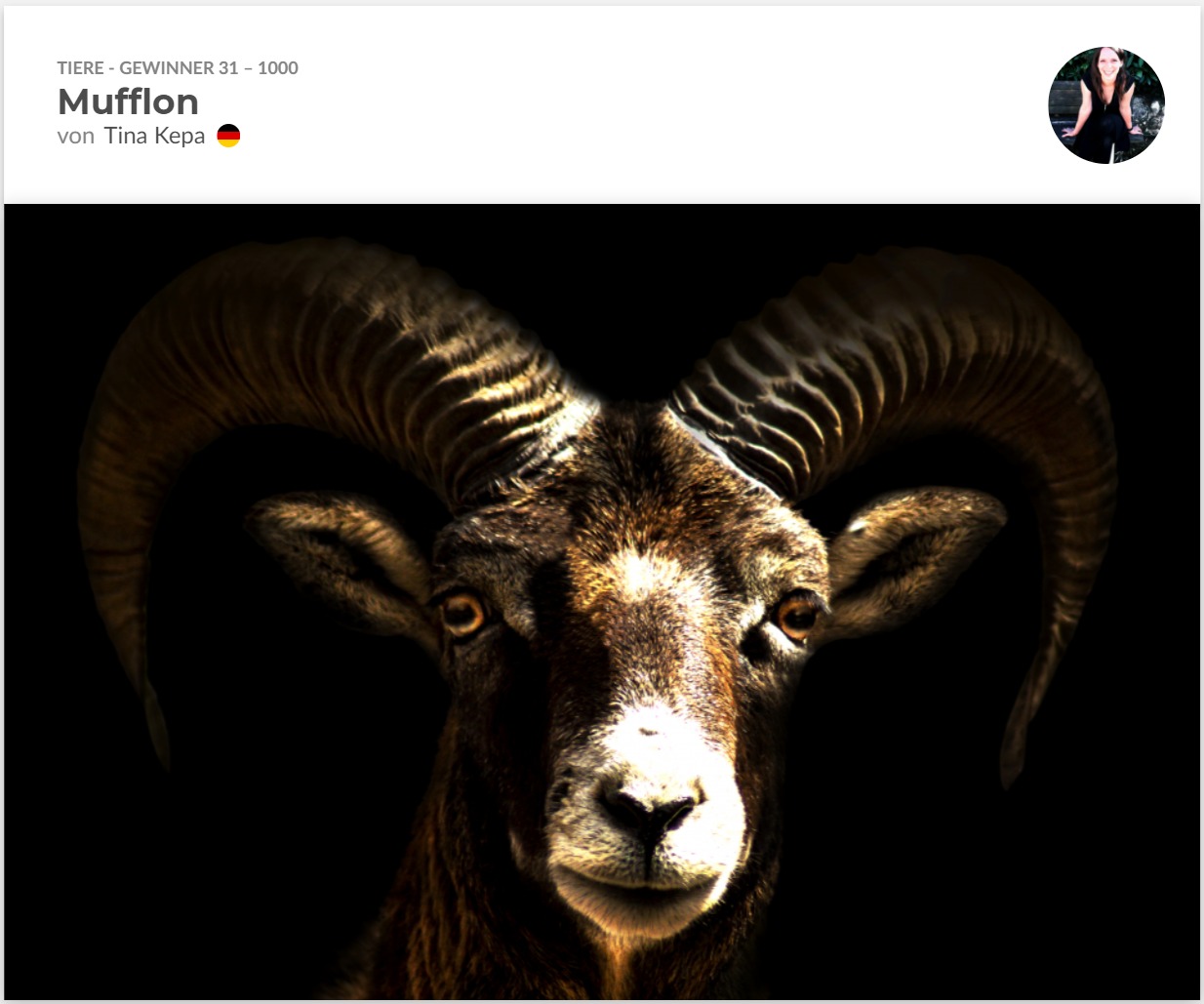 Finalist vom One Eyeland Award 2021