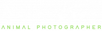 Logo Tina Kepa Animal Photographer